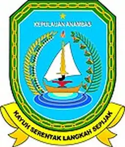 Pilkada Kepulauan Anambas