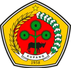 Pilkada Kupang